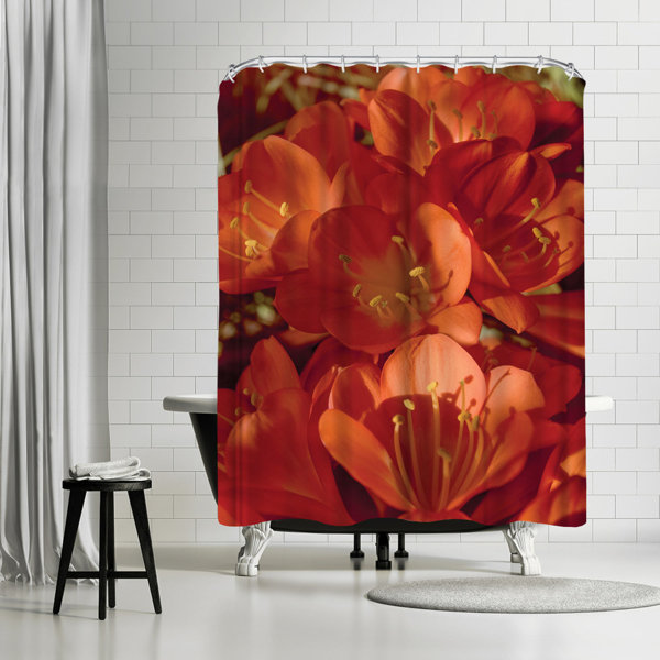 East Urban Home 71" x 74" Shower Curtain, Orange Clivia Flower by Good
